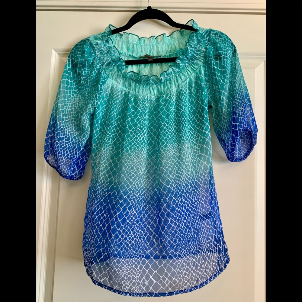 Translucent Blue and Green Scale Top